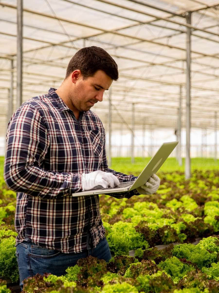 Connected Farms and Rural Properties in Auckland